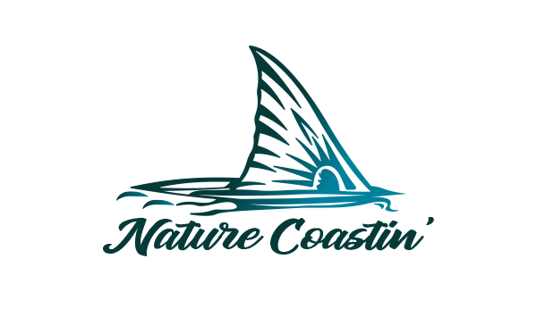 Nature Coastin’ Charters Logo