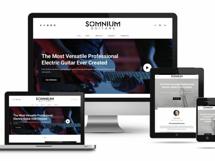 Somnium Guitars Website