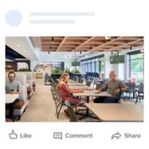 Social Media Management