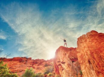 Free Stock Photos