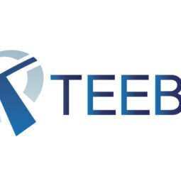 TEEBA Logo
